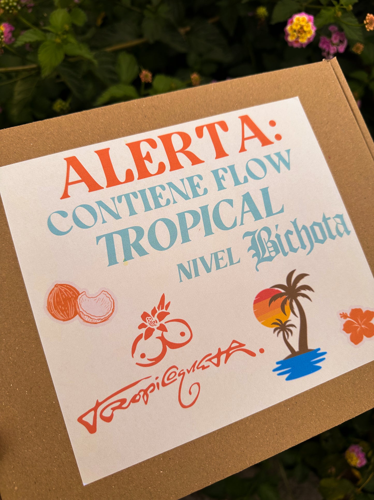 Tropicoqueta Box – Edición Limitada Nivel Bichota
