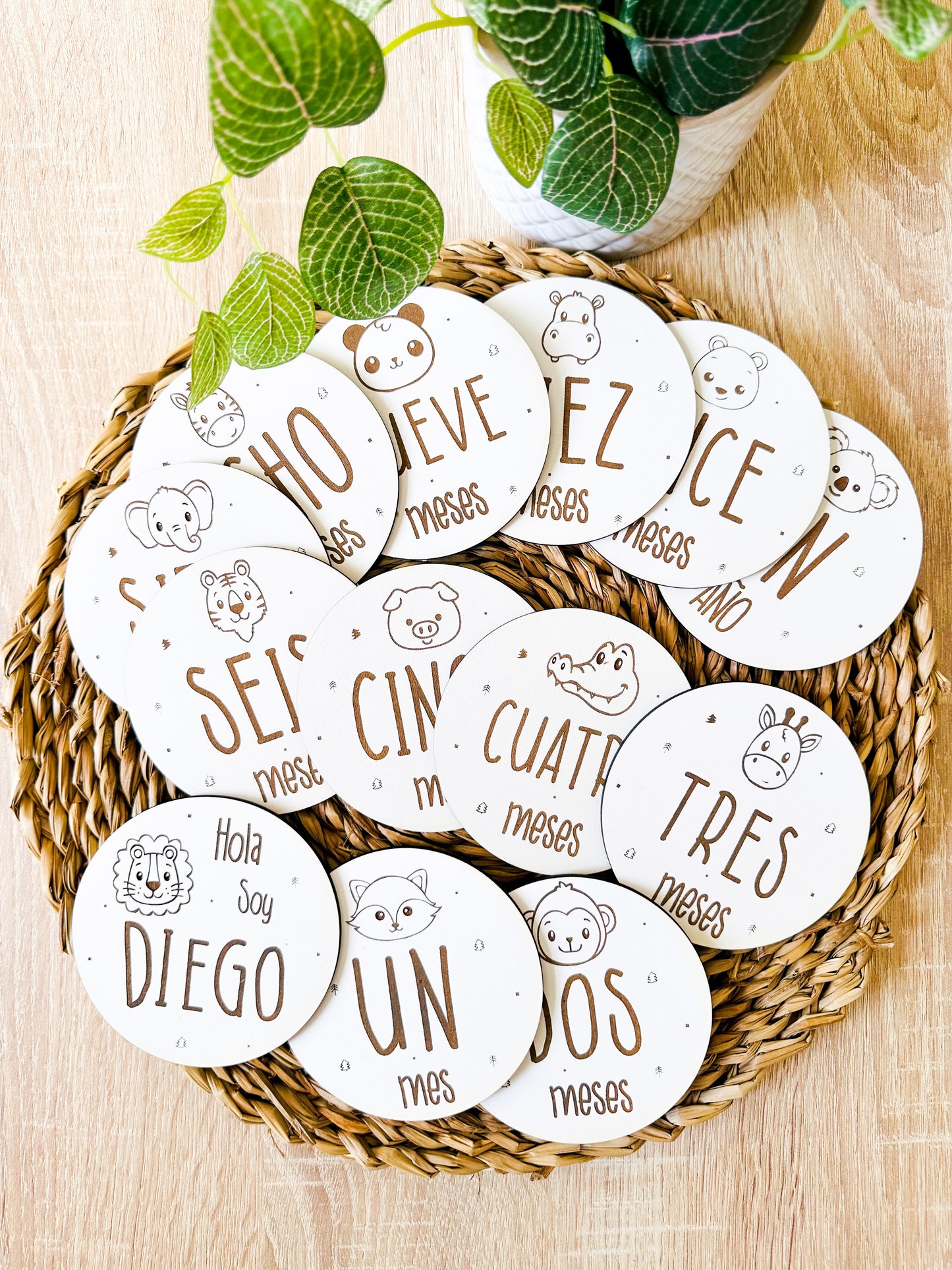 Placas cumple meses animales