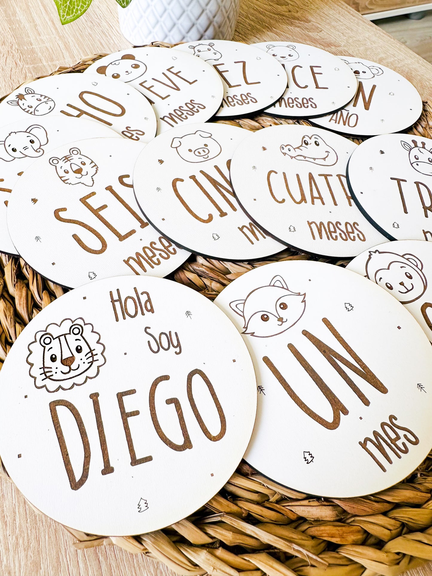 Placas cumple meses animales